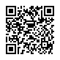 QR ASSIST PRAEPKASTEN F 50 OBJEKT