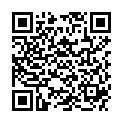 QR REGINE PINZ SCHRAEG SCHMETTERL