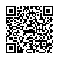 QR HERBATINT ANWENDUNGS-KIT