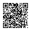 QR WEL FERRUM SIDEREUM DIL D2