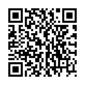 QR CLEANER N DESINFEKTIONSMIT