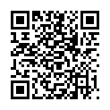 QR DISMOFIX G FLAECHENREINIGE