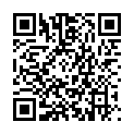 QR DRESDNER DRECKSPATZ BLUB ALLES