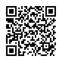 QR HEIDAK ARNIKA-OEL EXTRAKT FL