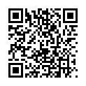 QR ELIXAN DUFTLAMPE KARIN VENEDIG