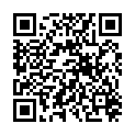 QR INDIANHERBS RAEUCHERMISC Z