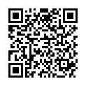 QR SAENGER WAERMFL 2L PLUESCH BLA