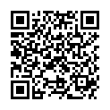 QR PHYTOMED SPAGYR VALER PASSI CO