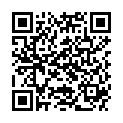 QR PHYTOMED SPAGYR SOLIDA URTI CO