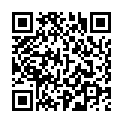 QR OMIDA HELIANTHUS ANNUUS 3D