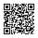 QR BELTER LINIE "A" REINIGUNG