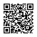 QR BIMBOSAN TRAUFFER HOLZBUECHLEI