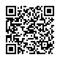 QR DIEM LESEBR GENF GRUEN 1.5