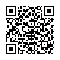 QR DIEM LESEBR NEWYORK BLAU 1.0