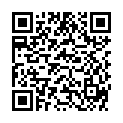 QR DIEM LESEBR NEWYORK BLAU 1.5