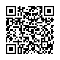 QR DIEM LESEBR PUR RED 1.0