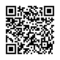 QR DIEM LESEBR ROM BRAUN 1.0