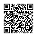 QR DIEM LESEBR ROM BRAUN 1.5