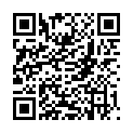 QR BACILLOL 30 TISSUES XXL