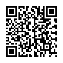 QR MEDIDOR PFX VERBINDUNGSSCHLAUC