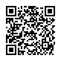 QR HAUSMANN PINZETTE SCHRAEG POLI