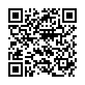 QR PHYTODOR GEBURT MISCHUNG TROPF