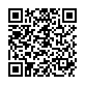 QR OMIDA EQUISETUM ARVENSE C