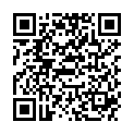 QR BOR PINZETTE INOX STAHL PO