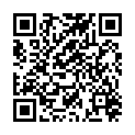 QR FARFALLA RAEUCHER WEIHRAUCH