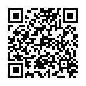 QR PUDOL PRESTO GLANZREINIGER