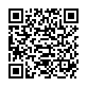 QR SENI V MAXI VLIESEINLAGE