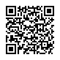 QR HAUSMANN PINZE SCHRAEG PFAU