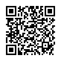 QR FEMADA LEBENSMITTELAROMA LIMET