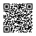 QR BOERLIND PURAVERA GINKO PFL SP