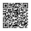 QR ALLGAEUER LATSCHENK MOBIL GEL