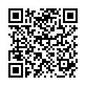 QR DV FLEXI LESEBR 2.0