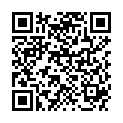 QR DV FLEXI LESEBR 3.0