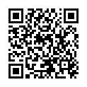 QR SANOTINT SEIDENHAARMASKE