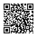 QR WALA EQUISETUM/STANNUM