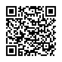 QR AESCULAP UNIVERSAL SCHERE