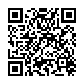 QR PUDOL PERLGLANZ ANTISTATISCH F