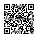 QR VINX HUNDE+KATZEN ERZIEHUNG