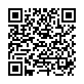 QR BUTSCH SKALPELLGRIFF NR4