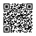 QR DERMACOLOR FIXIERPUDER P1 DS 2