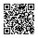 QR PHYTODOR AURASCHUTZ TASCHENSPR