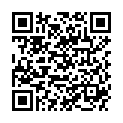 QR HENNA BOTAN STYL STRAIG