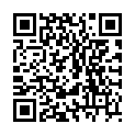 QR ANTROLIN MOEBELPOLITUR