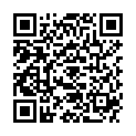 QR NICOLE DIEM LESEBR SISL BL 3.0