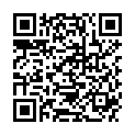 QR PORELAST PFLASTERBINDE 10CMX2.