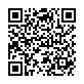 QR JOY DUFTMAENNCHEN AUTO SILV FR